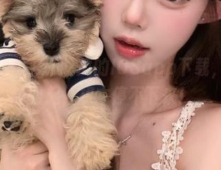 51吃瓜的IOSapp下载，瓜声四起，根本停不下来！