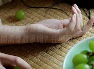 记得那些年在51黑料网站上追过的离奇故事吗？往期回顾盘点！