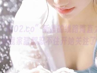 “hl02.co”新推的线路简直太神奇，连我家猫都忍不住开始关注了！