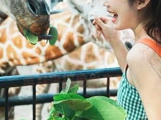 被soootv黑料圈粉了，观看之后，心里默默盘算着”，“还有什么黑料没被挖出来？”