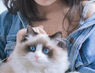 我家小猫都在关注，xgua发布：瓜带来的围观狂潮！