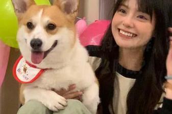 观看着黑料不打烊，它的热度还能撑到什么时候？