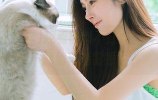 观看黑料不打烊，入口问题能不能别再迷雾重重？