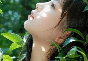 擺烂和努力，万篇长征黑料正能量苹果版让你重新审视人生！